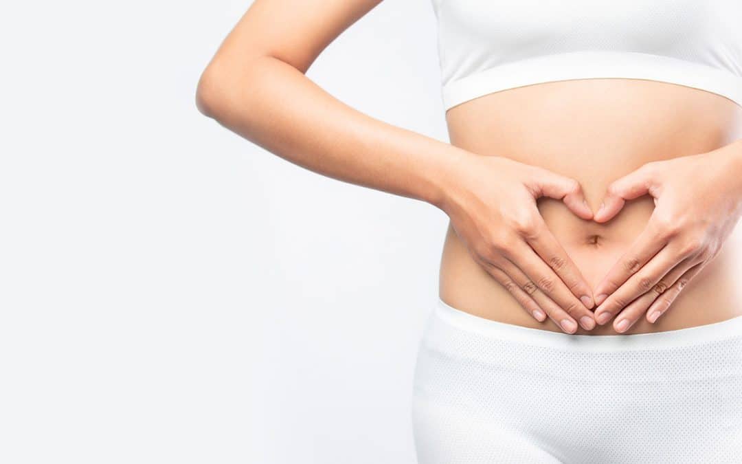 Gut Health Support Program