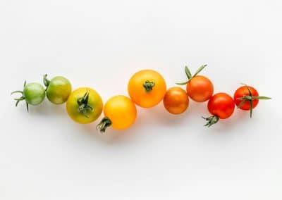 Vegetarian Support Program
