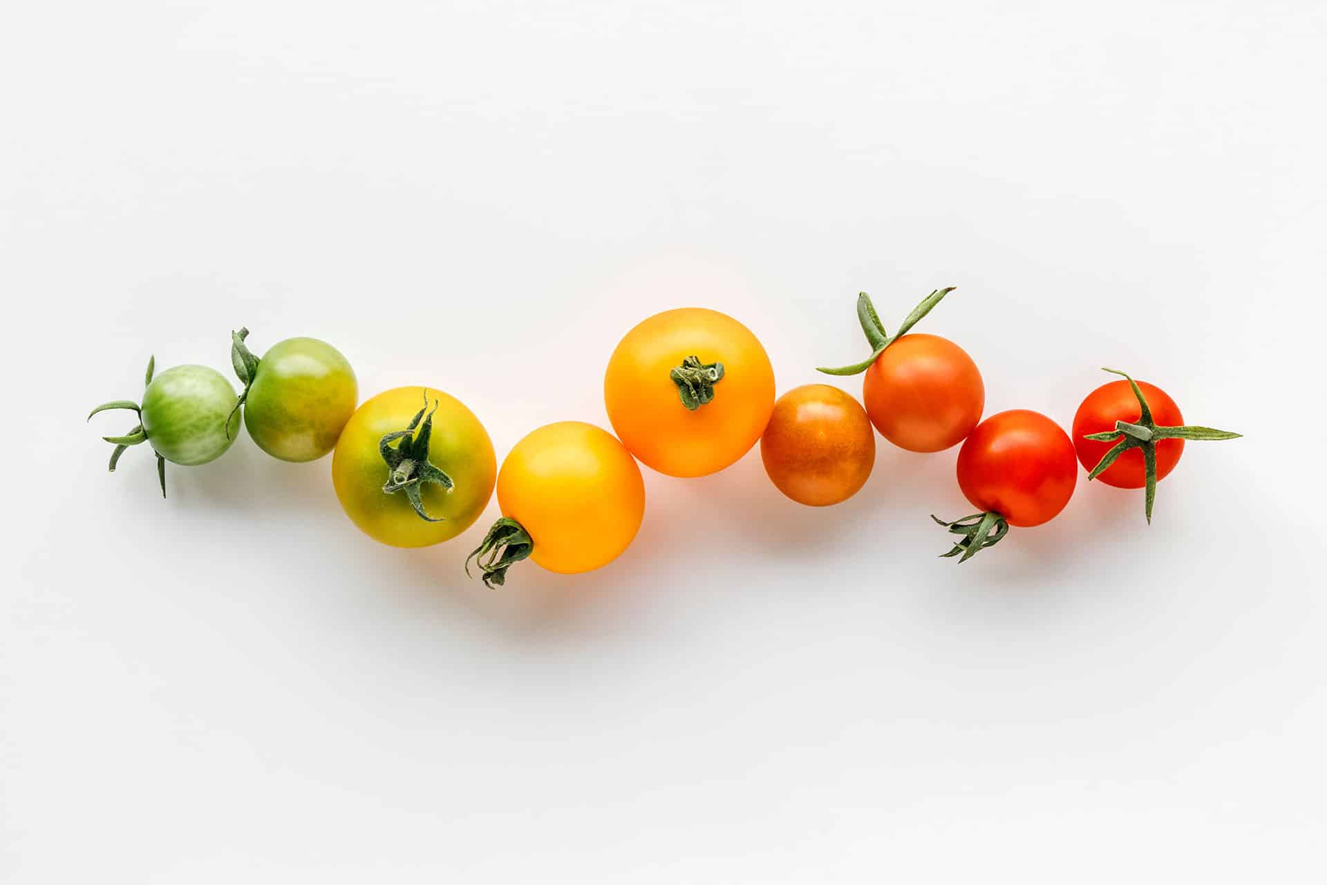 Woman Chopping Healthy Vegetables on a Cutting Board