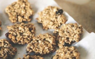 Breakfast Oatmeal Cookies